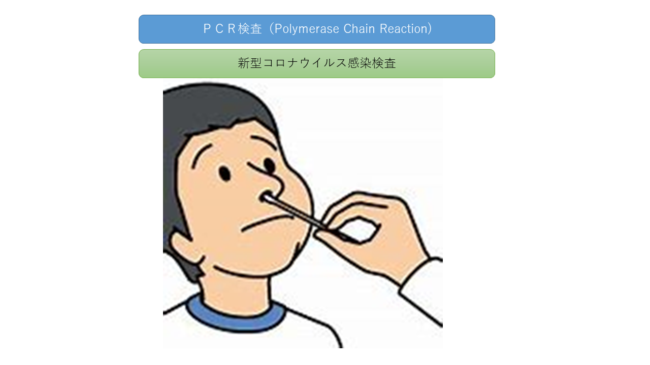 ＰＣＲ検査
